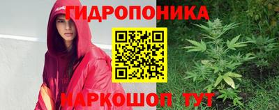 гидра Дубна