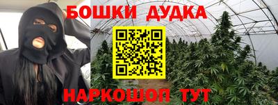 гидра Дубна