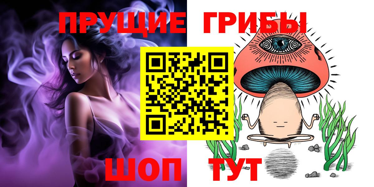 Можга  Галлюциногенные грибы Psilocybe  Вход с VPN 