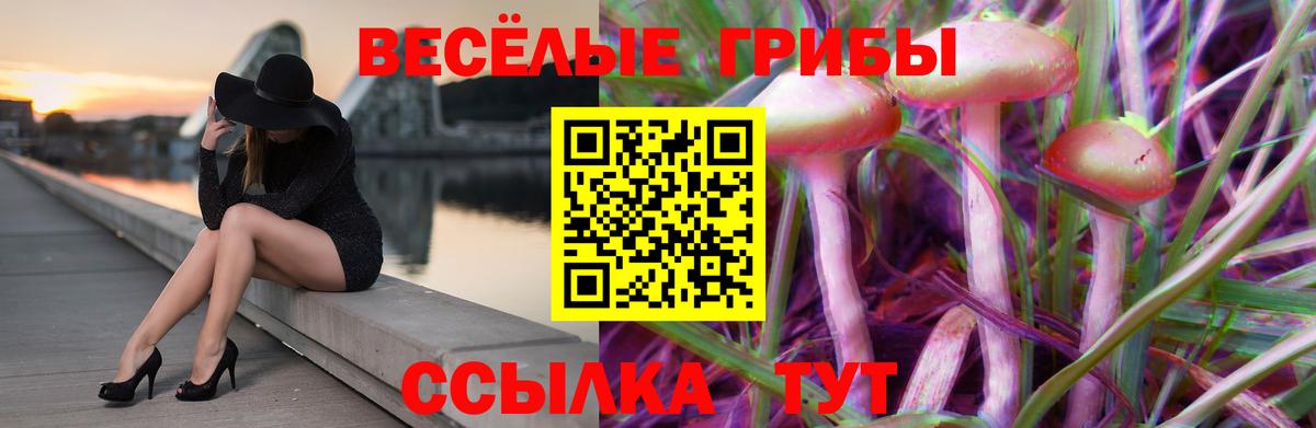 Псилоцибиновые грибы Psilocybine cubensis Можга